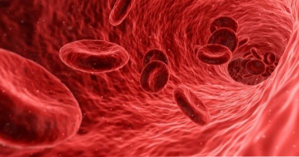 What are the types of anemia and its symptoms?